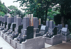 境内墓地 境内墓地
